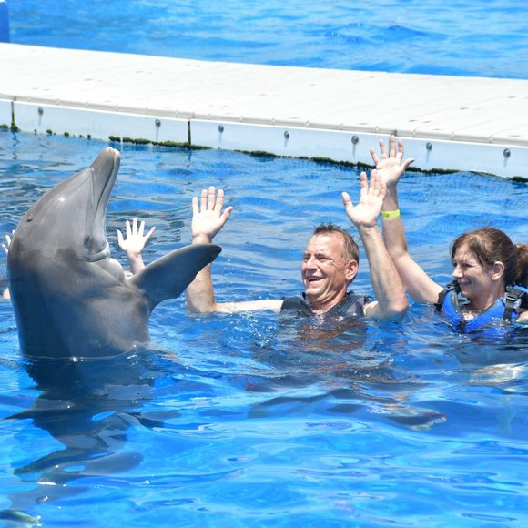 @chrissyhideaway When we Go Live! Come shop or just hang out! Like this Post!! - Picture 4 of 17